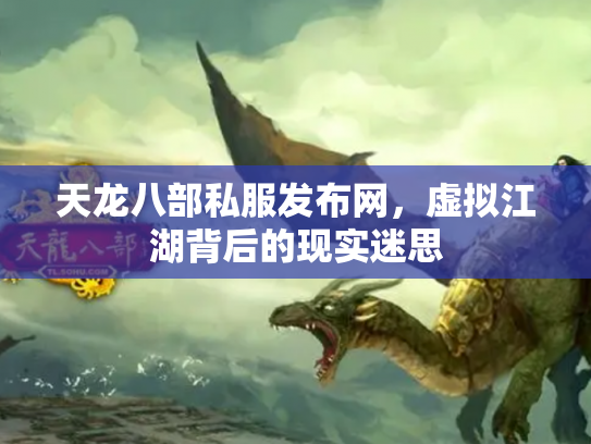 天龙八部私服发布网，虚拟江湖背后的现实迷思