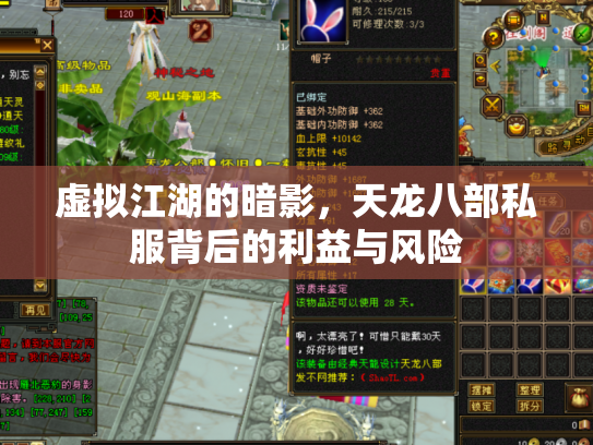 虚拟江湖的暗影，天龙八部私服背后的利益与风险