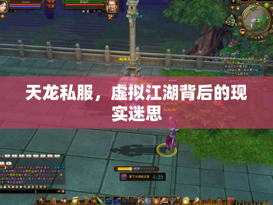 天龙私服，虚拟江湖背后的现实迷思