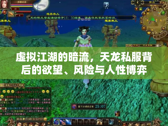 虚拟江湖的暗流，天龙私服背后的欲望、风险与人性博弈