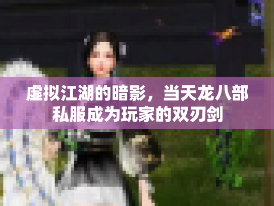 虚拟江湖的暗影，当天龙八部私服成为玩家的双刃剑