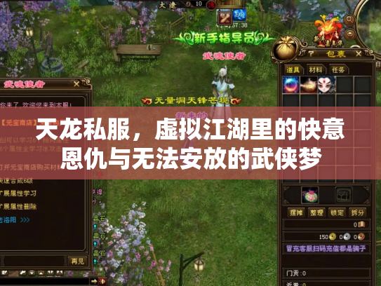 天龙私服，虚拟江湖里的快意恩仇与无法安放的武侠梦