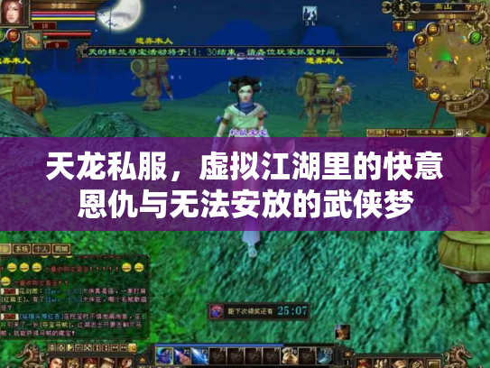天龙私服，虚拟江湖里的快意恩仇与无法安放的武侠梦