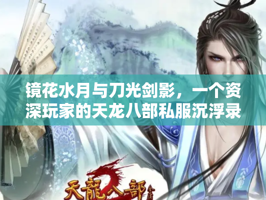 镜花水月与刀光剑影，一个资深玩家的天龙八部私服沉浮录