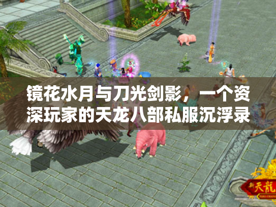 镜花水月与刀光剑影，一个资深玩家的天龙八部私服沉浮录