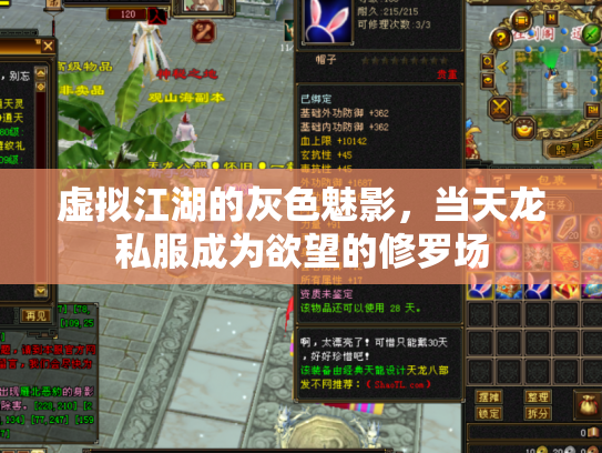 虚拟江湖的灰色魅影，当天龙私服成为欲望的修罗场