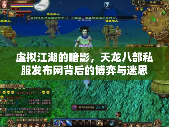 虚拟江湖的暗影，天龙八部私服发布网背后的博弈与迷思