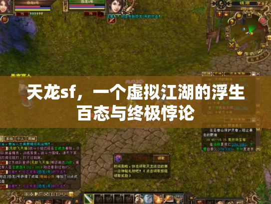 天龙sf，一个虚拟江湖的浮生百态与终极悖论