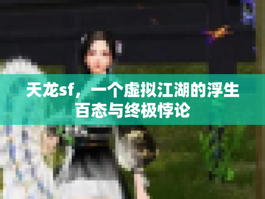 天龙sf，一个虚拟江湖的浮生百态与终极悖论