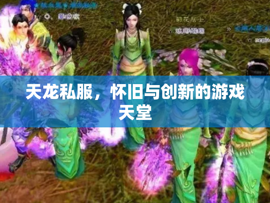 天龙私服，怀旧与创新的游戏天堂