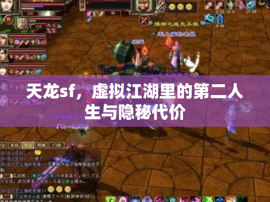 天龙sf，虚拟江湖里的第二人生与隐秘代价