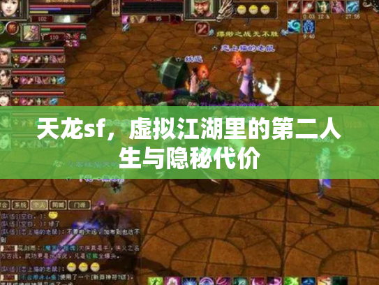 天龙sf，虚拟江湖里的第二人生与隐秘代价