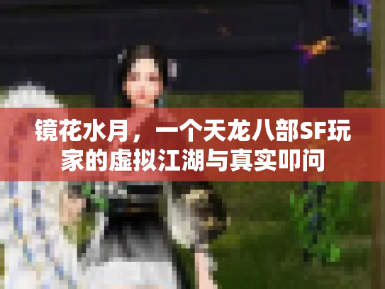 镜花水月，一个天龙八部SF玩家的虚拟江湖与真实叩问
