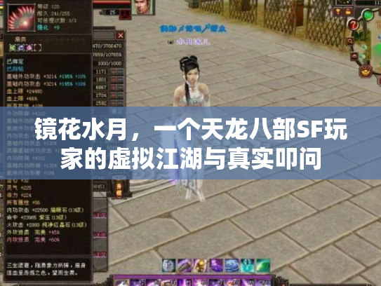 镜花水月，一个天龙八部SF玩家的虚拟江湖与真实叩问