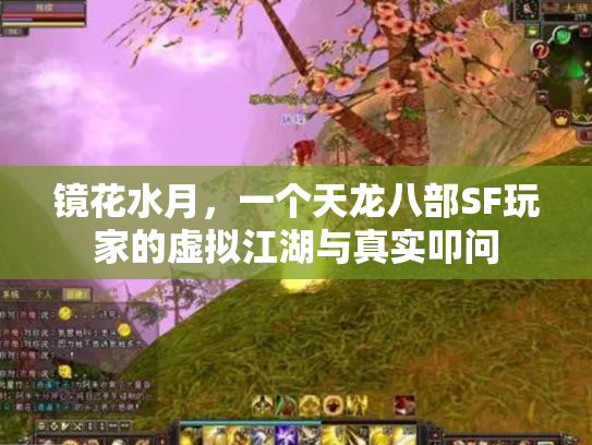 镜花水月，一个天龙八部SF玩家的虚拟江湖与真实叩问