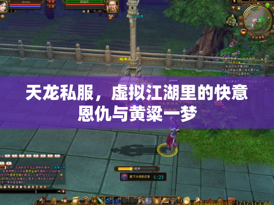 天龙私服，虚拟江湖里的快意恩仇与黄粱一梦