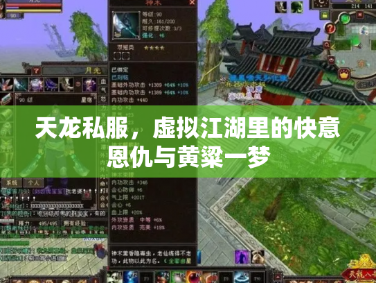 天龙私服，虚拟江湖里的快意恩仇与黄粱一梦