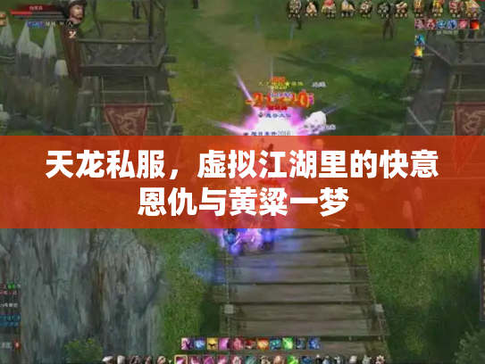 天龙私服，虚拟江湖里的快意恩仇与黄粱一梦