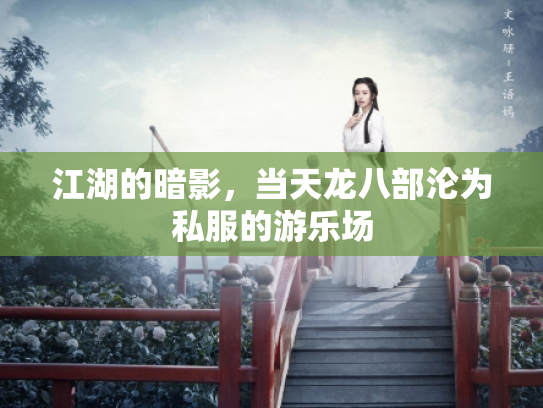 江湖的暗影，当天龙八部沦为私服的游乐场