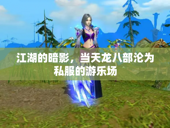 江湖的暗影，当天龙八部沦为私服的游乐场
