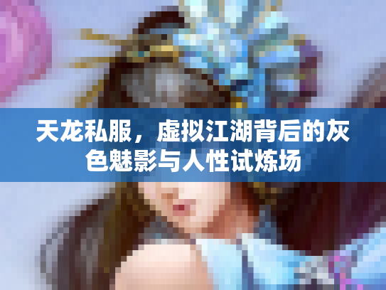 天龙私服，虚拟江湖背后的灰色魅影与人性试炼场