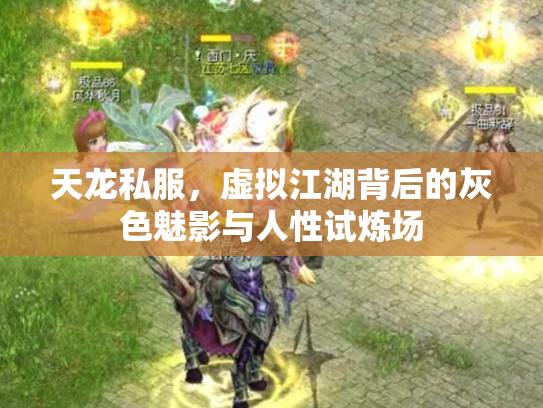 天龙私服，虚拟江湖背后的灰色魅影与人性试炼场
