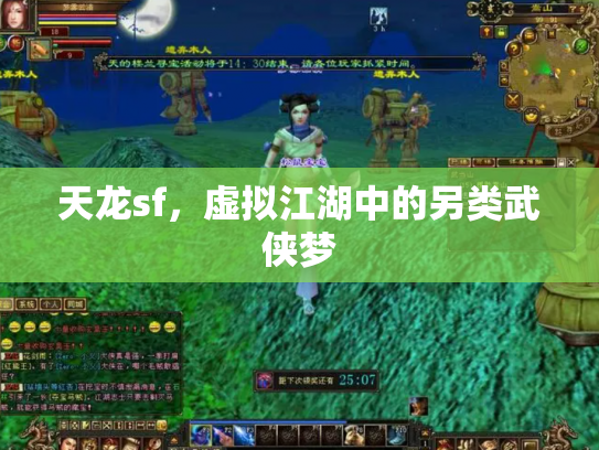 天龙sf，虚拟江湖中的另类武侠梦
