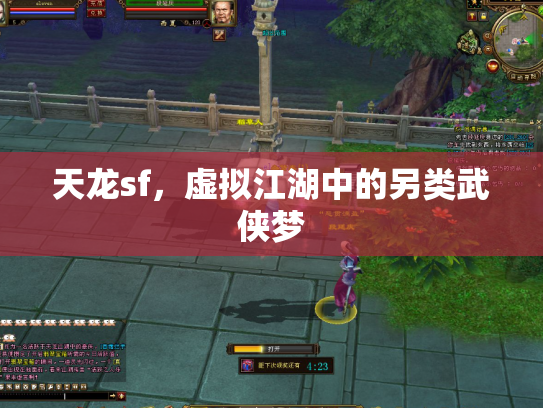 天龙sf，虚拟江湖中的另类武侠梦