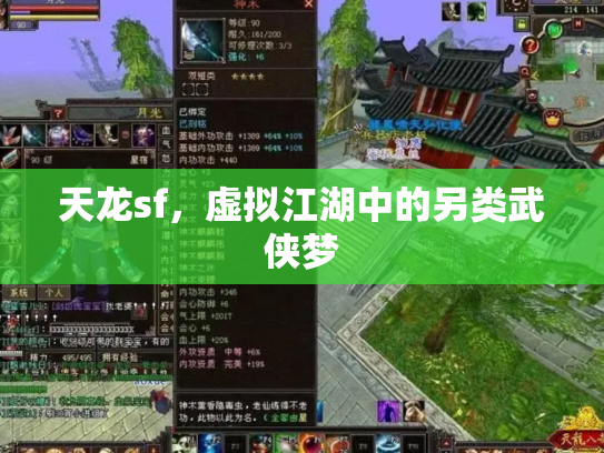 天龙sf，虚拟江湖中的另类武侠梦