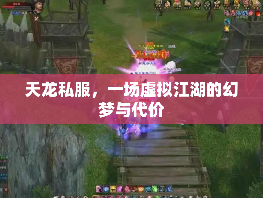 天龙私服，一场虚拟江湖的幻梦与代价