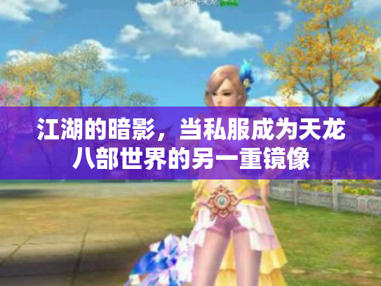 江湖的暗影，当私服成为天龙八部世界的另一重镜像