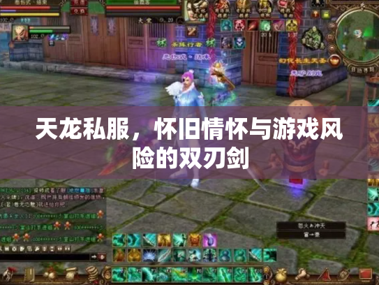天龙私服，怀旧情怀与游戏风险的双刃剑