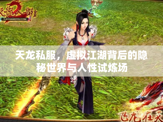 天龙私服，虚拟江湖背后的隐秘世界与人性试炼场