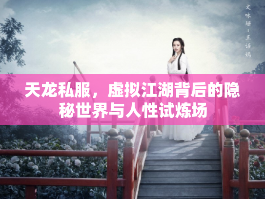 天龙私服，虚拟江湖背后的隐秘世界与人性试炼场
