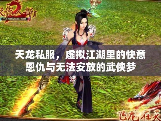 天龙私服，虚拟江湖里的快意恩仇与无法安放的武侠梦