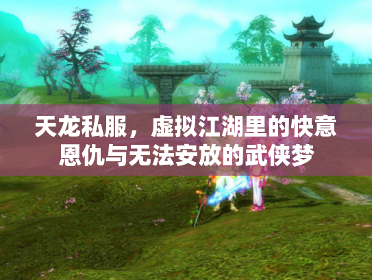 天龙私服，虚拟江湖里的快意恩仇与无法安放的武侠梦