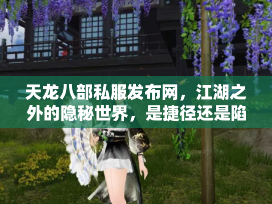 天龙八部私服发布网，江湖之外的隐秘世界，是捷径还是陷阱？