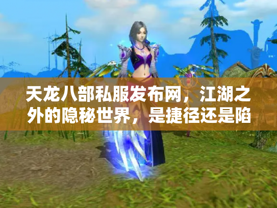 天龙八部私服发布网，江湖之外的隐秘世界，是捷径还是陷阱？