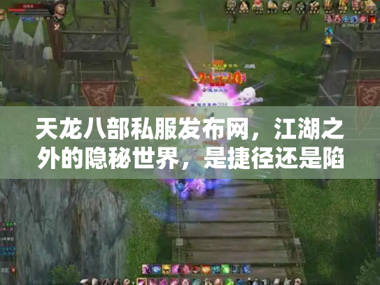 天龙八部私服发布网，江湖之外的隐秘世界，是捷径还是陷阱？