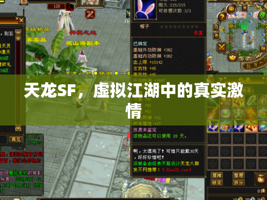 天龙SF，虚拟江湖中的真实激情