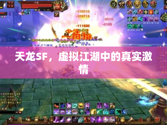 天龙SF，虚拟江湖中的真实激情