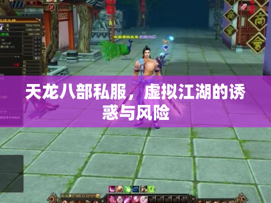 天龙八部私服，虚拟江湖的诱惑与风险