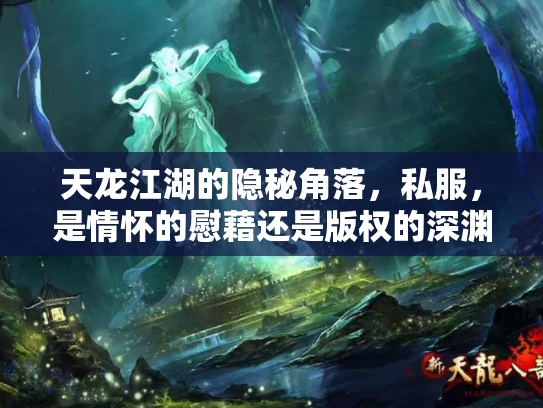 天龙江湖的隐秘角落，私服，是情怀的慰藉还是版权的深渊？