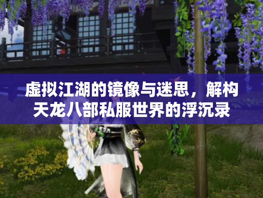 虚拟江湖的镜像与迷思，解构天龙八部私服世界的浮沉录