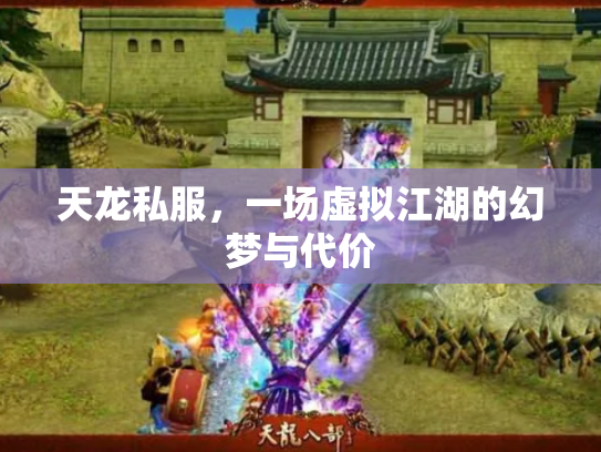 天龙私服，一场虚拟江湖的幻梦与代价