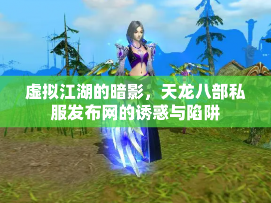 虚拟江湖的暗影，天龙八部私服发布网的诱惑与陷阱