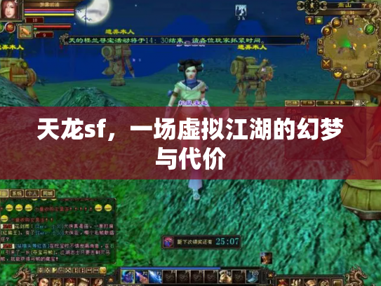 天龙sf，一场虚拟江湖的幻梦与代价