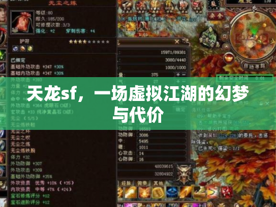 天龙sf，一场虚拟江湖的幻梦与代价