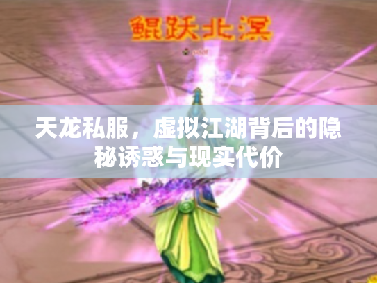 天龙私服，虚拟江湖背后的隐秘诱惑与现实代价