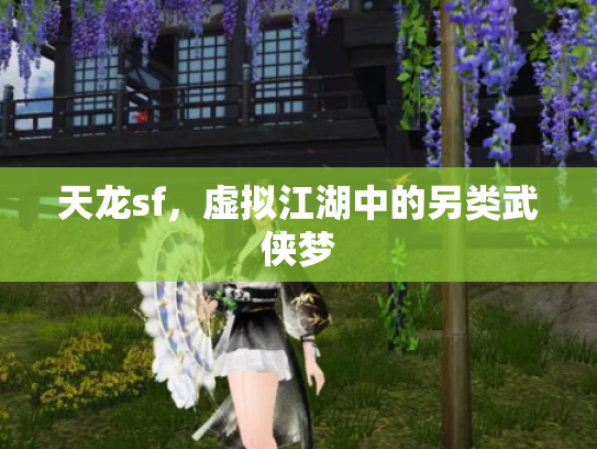 天龙sf，虚拟江湖中的另类武侠梦